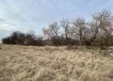 7792 Bluestem Trail - Photo 5