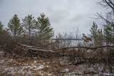 28 ac Clearview Road - Photo 33