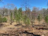 1172 Fairway Trail - Photo 6
