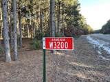 W3200 Yellow Banks Trail - Photo 11