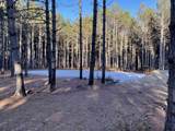 W3200 Yellow Banks Trail - Photo 12