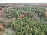 122+/-acres Happersett Lane - Photo 10