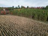122+/-acres Happersett Lane - Photo 3