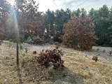 122+/-acres Happersett Lane - Photo 20