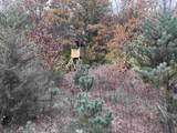122+/-acres Happersett Lane - Photo 4
