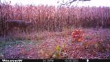 122+/-acres Happersett Lane - Photo 32