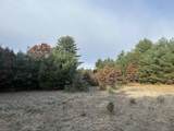 122+/-acres Happersett Lane - Photo 5