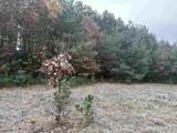 122+/-acres Happersett Lane - Photo 7