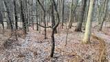 56 Redhawk Trail - Photo 10