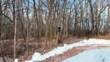 56 Redhawk Trail - Photo 17