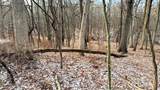 56 Redhawk Trail - Photo 5