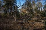N8034 North Shore Drive - Photo 19