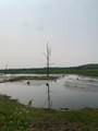 1.14 AC Flowage Road - Photo 10