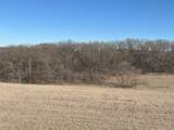 Lot 2 Hustad Valley Road - Photo 12