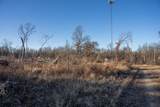 18.50 AC Grosbeak Avenue - Photo 16