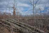 18.50 AC Grosbeak Avenue - Photo 21
