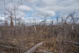 18.50 AC Grosbeak Avenue - Photo 22