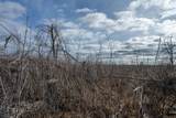 18.50 AC Grosbeak Avenue - Photo 23