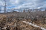18.50 AC Grosbeak Avenue - Photo 24