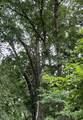 Lot 205 Shorewood Hills Road - Photo 5