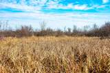 72 Ac. Czech Drive - Photo 13
