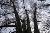 +/-236 Ac Old Stone Road - Photo 35