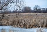 +/-230 Ac Old Stone Road - Photo 57