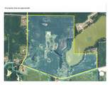 +/-230 Ac Old Stone Road - Photo 58