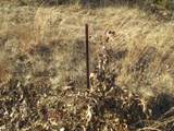 0 State 13 Road - Photo 6
