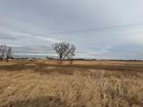 120 Acres Highway 49 - Photo 10