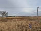 120 Acres Highway 49 - Photo 11