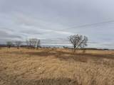 120 Acres Highway 49 - Photo 12