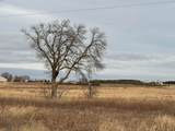 120 Acres Highway 49 - Photo 14