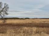 120 Acres Highway 49 - Photo 15