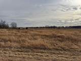 120 Acres Highway 49 - Photo 3