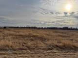 120 Acres Highway 49 - Photo 4