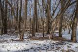 Lot 4 Oak Hill Estates N - Photo 3