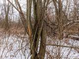Lot 13 & 24 Highway 14 - Photo 34