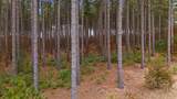 Lot 49 Longview Point - Photo 10