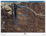 52.5 Acres Bluff Road - Photo 1