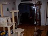 307 Marion Street - Photo 8
