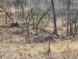 52982 Morovits Hollow Road - Photo 24