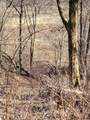 52982 Morovits Hollow Road - Photo 27