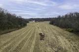 8580 Roelke Road - Photo 86