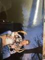 8580 Roelke Road - Photo 88