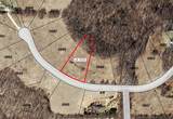 Lot 1016 Blue Ridge Drive - Photo 9