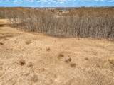 Lot 1017 Blue Ridge Drive - Photo 11