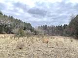 6131 Helena Road - Photo 5
