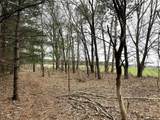6131 Helena Road - Photo 7