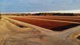 N7050 Highway 12 And 16 - Photo 18